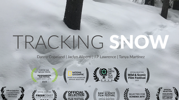 Tracking Snow